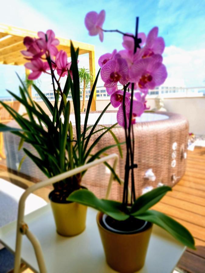 Penthouse Rent阿尔布费拉 外观 照片